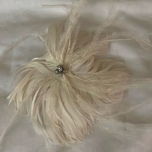 Pretty white flower and feathers